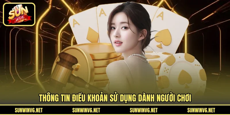 Thông tin điều khoản sử dụng dành người chơi