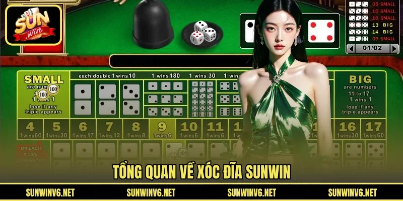 Tổng quan về xóc đĩa SUNWIN